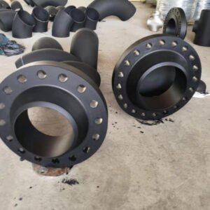 SS Flanges Manufacturer & Supplier in Nepal - Prime Steel